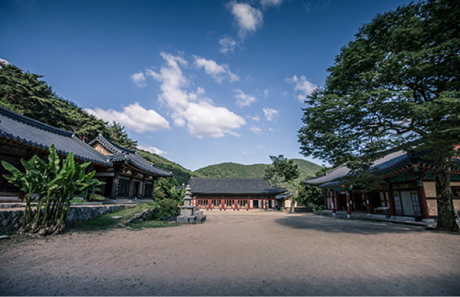 의림사 전경 이미지